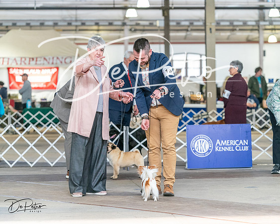 20240330-DSC00041