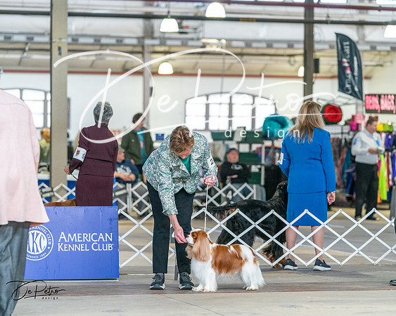 20240330-DSC00054