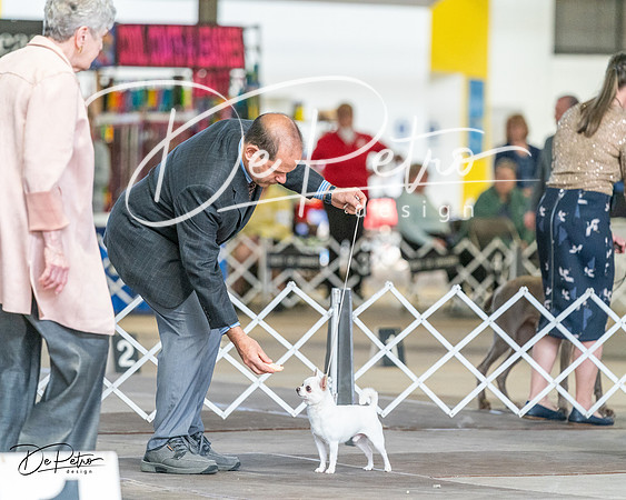 20240330-DSC00058