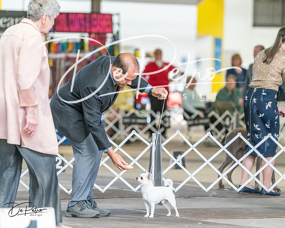 20240330-DSC00059