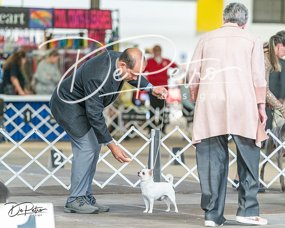 20240330-DSC00063
