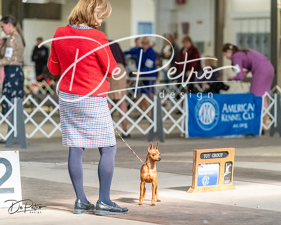 20240330-DSC00089