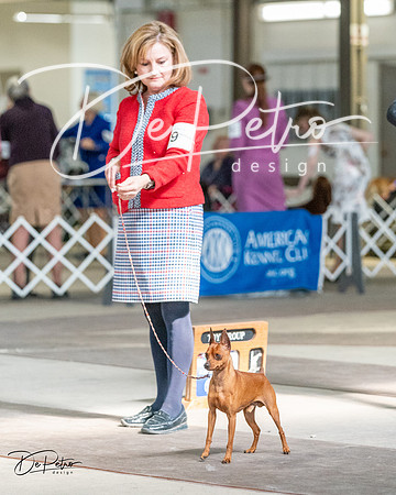 20240330-DSC00099
