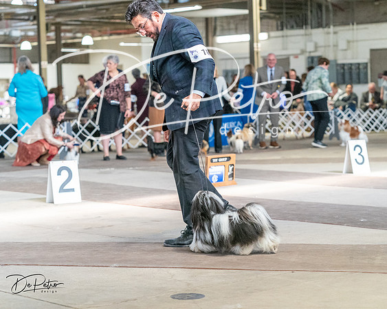 20240330-DSC09652