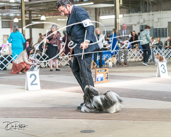 20240330-DSC09653