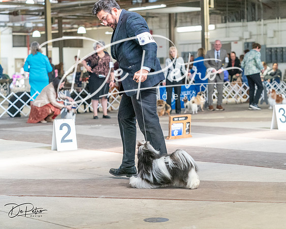 20240330-DSC09654