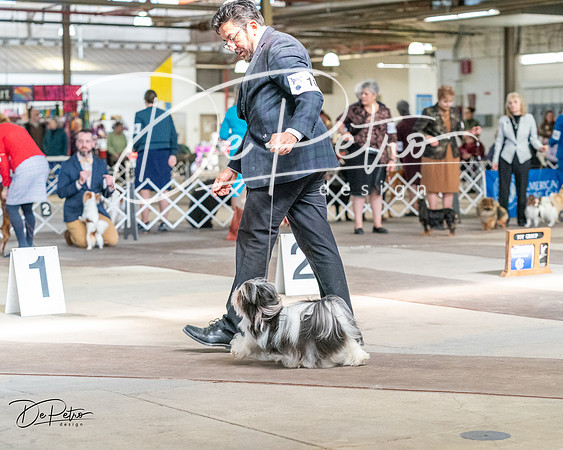 20240330-DSC09660