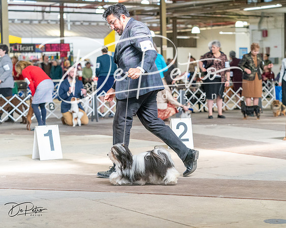20240330-DSC09664