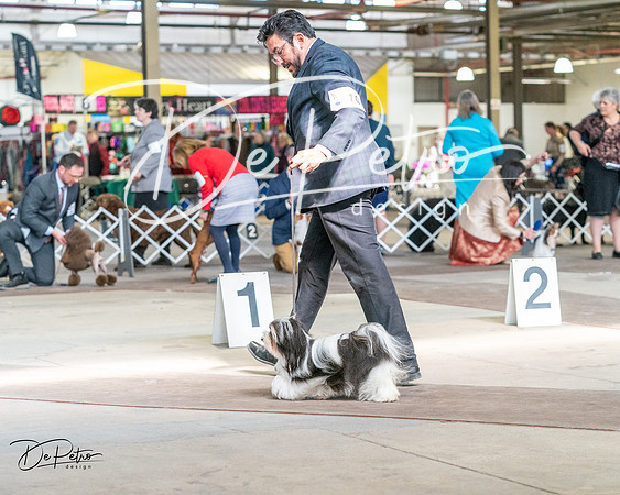 20240330-DSC09670