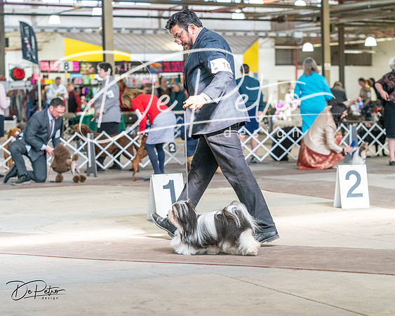 20240330-DSC09671