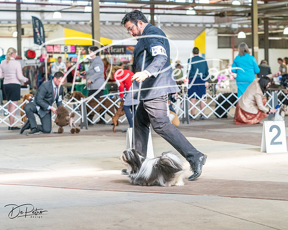 20240330-DSC09673