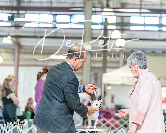 20240330-DSC09679