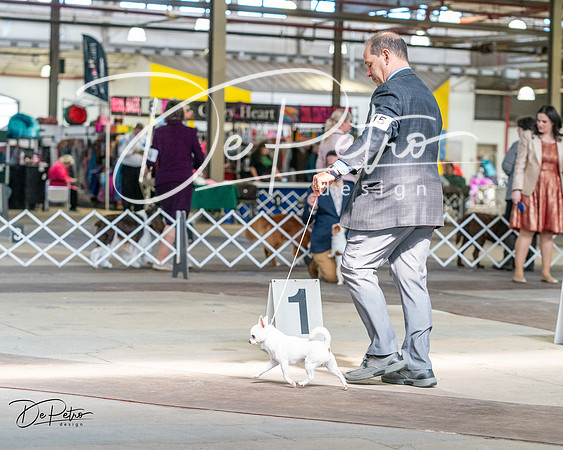 20240330-DSC09697