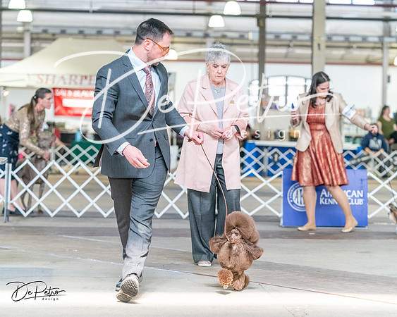 20240330-DSC09745