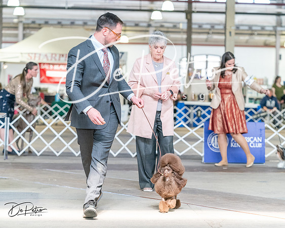 20240330-DSC09746