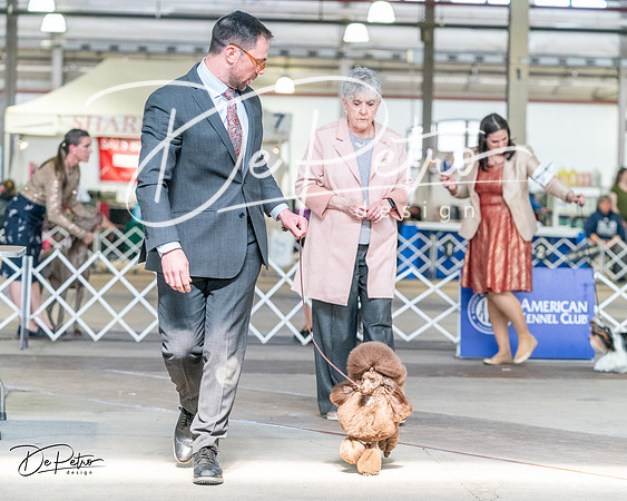 20240330-DSC09749