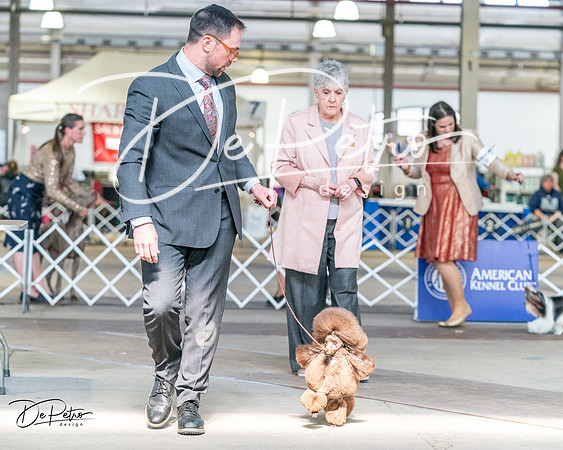 20240330-DSC09750