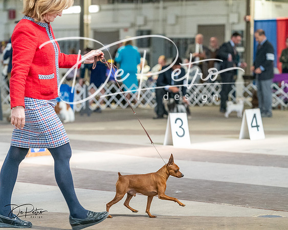 20240330-DSC09786