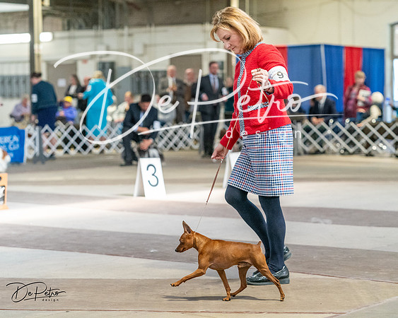 20240330-DSC09793