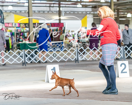 20240330-DSC09828