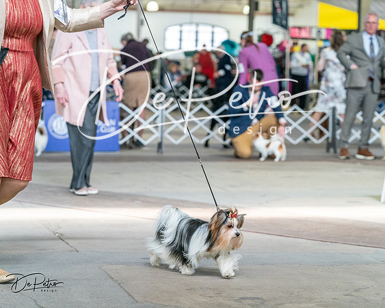 20240330-DSC09860