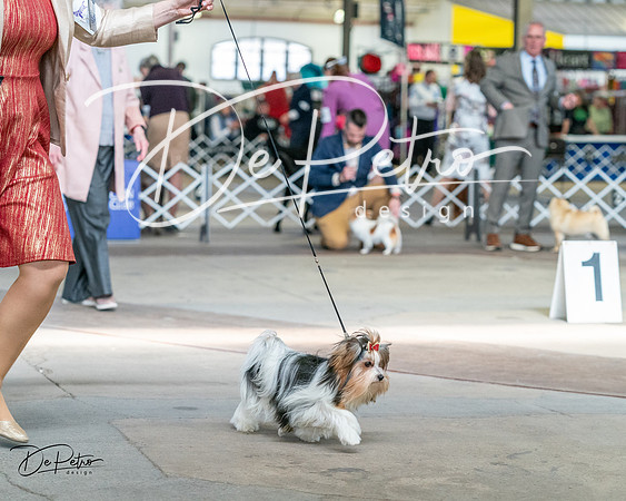 20240330-DSC09862