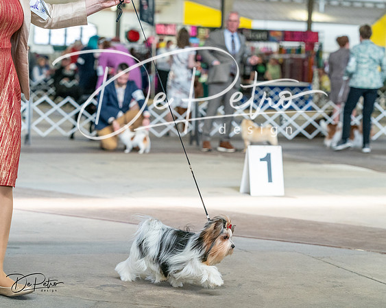 20240330-DSC09867