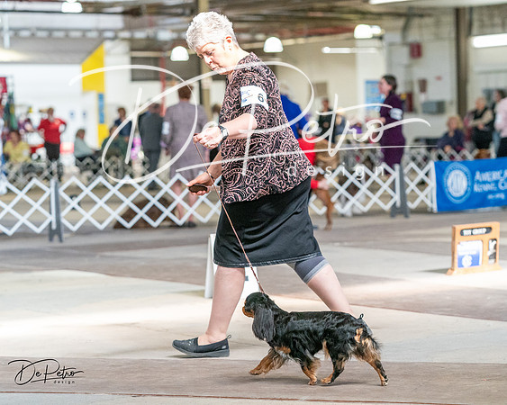 20240330-DSC09877