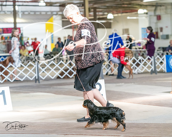 20240330-DSC09880