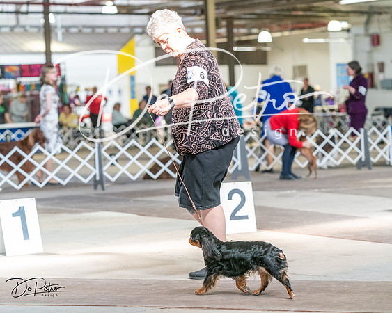 20240330-DSC09881