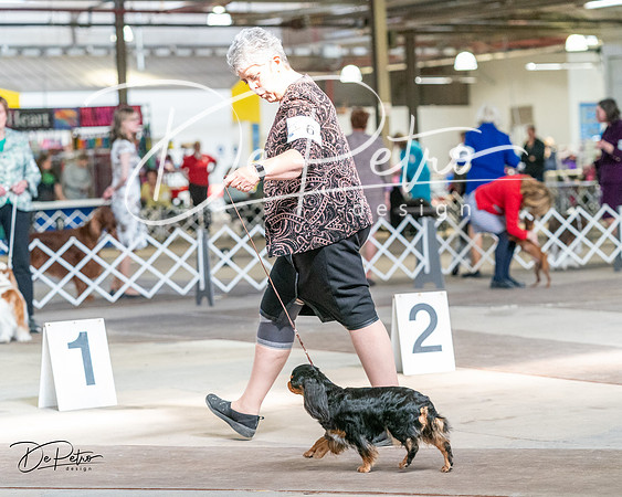 20240330-DSC09884