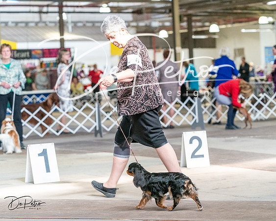 20240330-DSC09885