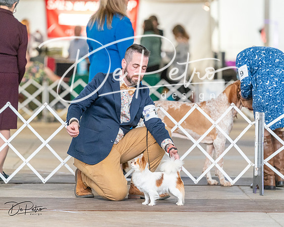 20240330-DSC09910