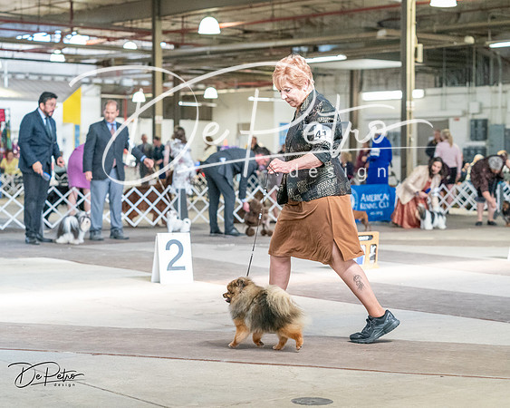 20240330-DSC09930