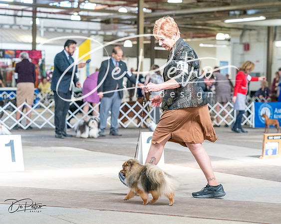 20240330-DSC09937