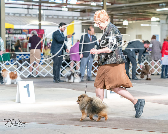20240330-DSC09940