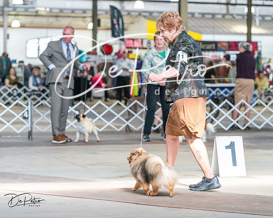 20240330-DSC09946
