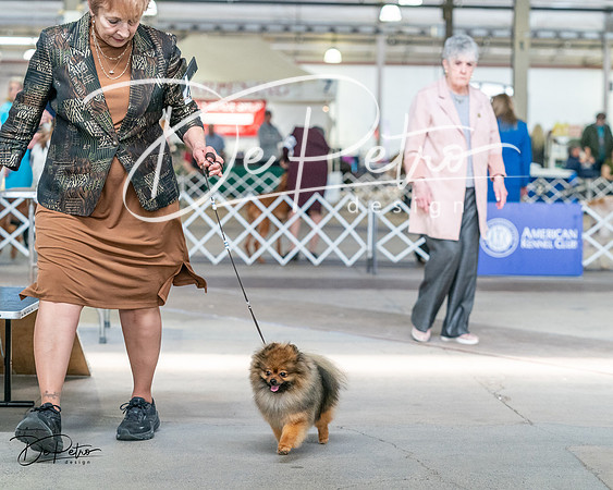 20240330-DSC09949