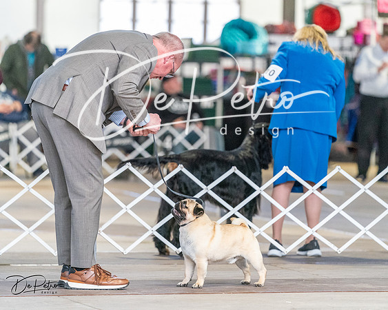 20240330-DSC09988