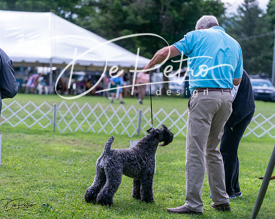 20240630-DSC03702