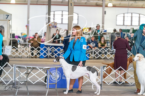 20240330-DSC00130