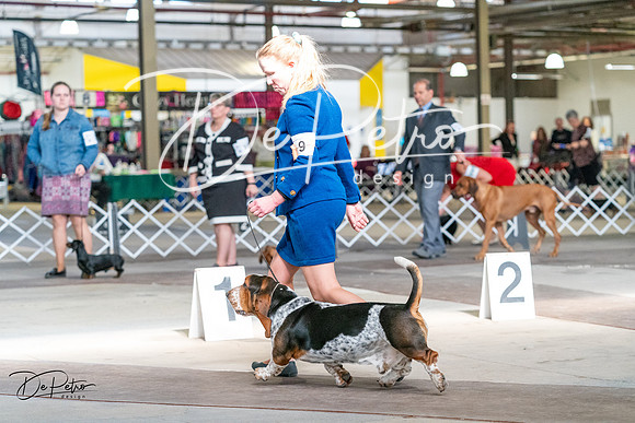 20240330-DSC00159