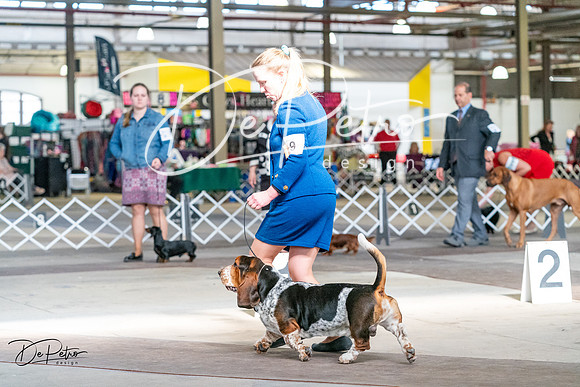 20240330-DSC00163