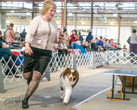 20240330-DSC00914