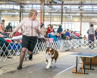 Herding 3/30/24