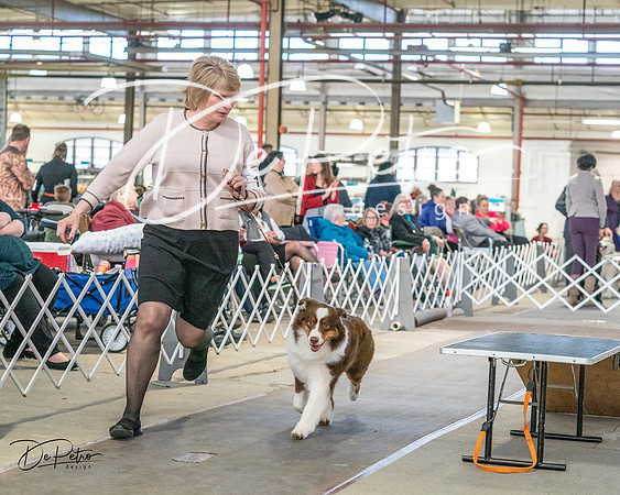 20240330-DSC00909