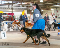 20240330-DSC00926