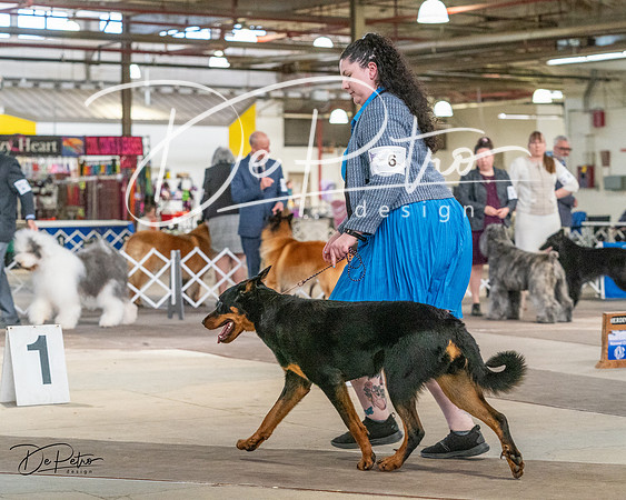 20240330-DSC00926