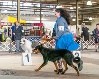 20240330-DSC00930