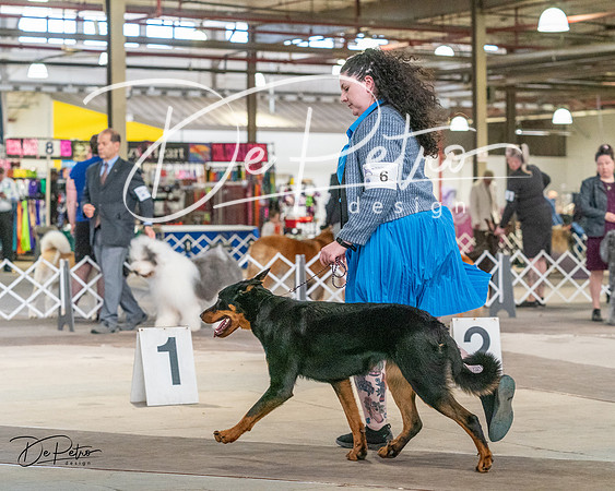 20240330-DSC00930